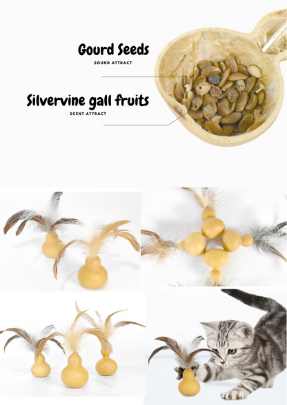 Gourde de fruit de galle de vigne d'argent
