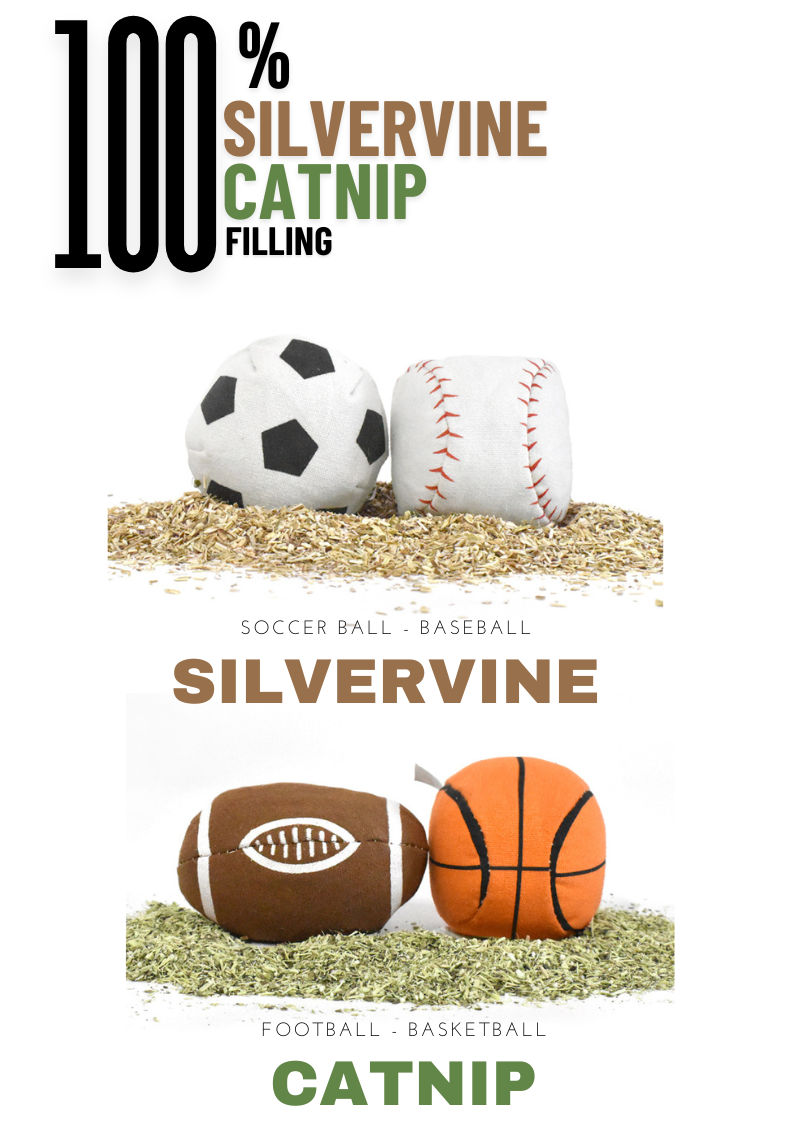 Ensemble de 4 balles de sport 100 % remplies d'actinidia/d'herbe à chat