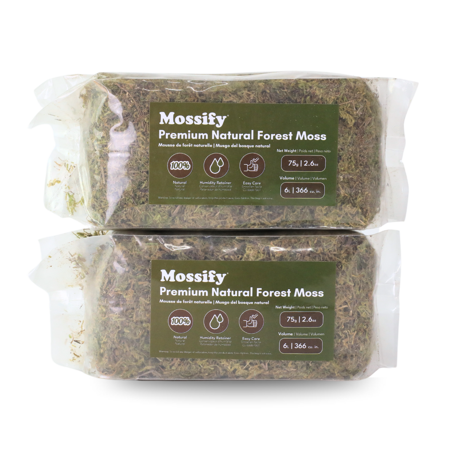 Mousse naturelle de forêt de première qualité