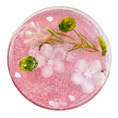cherry blossom