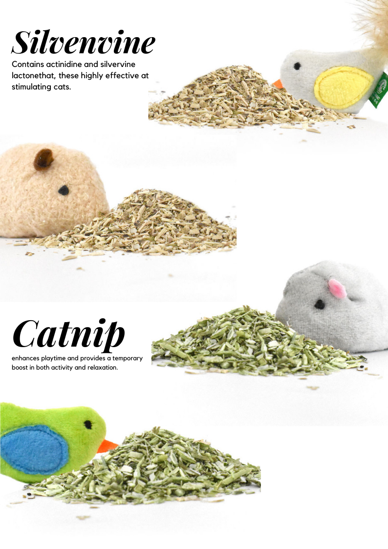 Jouets pour petits animaux à base d'herbe à chat/vigne argentée