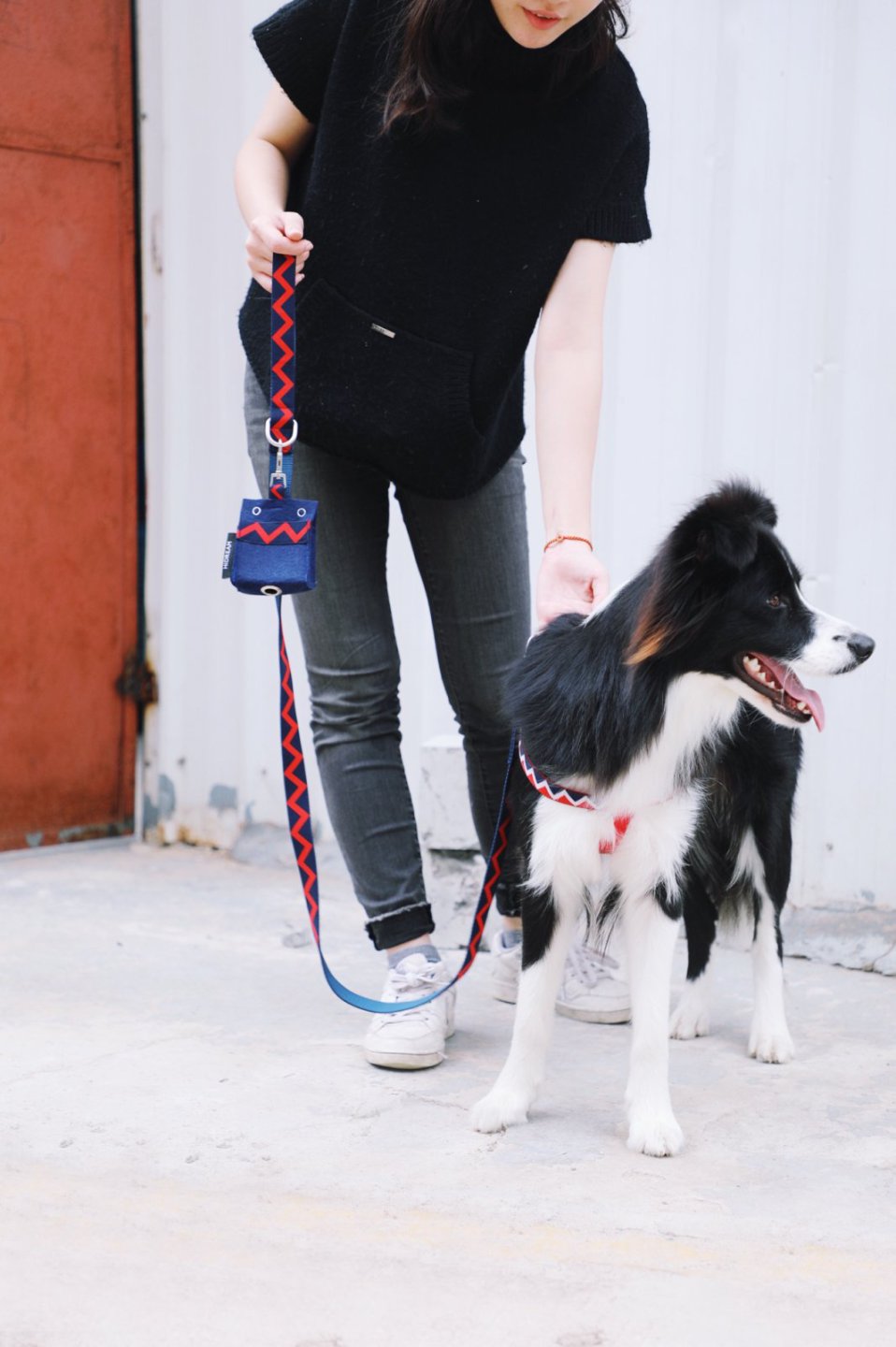 Momopets™ Série Arc-en-ciel – Distributeur de sacs à déjections canines en feutre