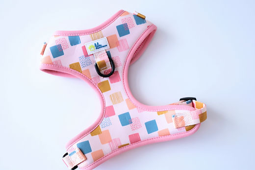Harnais Réglable pour Chien Vik Fiesta | Lila Pawtique