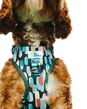 Harnais ajustable pour chien Amazônia Tribe | Lila Pawtique