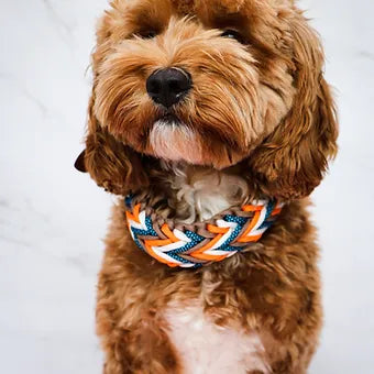 Collier pour chien réglable Lila Pawtique style macramé tribal