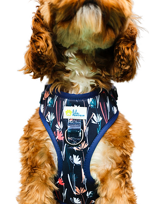 Harnais réglable pour chien Fleurs Célestes | Lila Pawtique