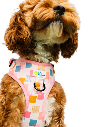Harnais Réglable pour Chien Vik Fiesta | Lila Pawtique
