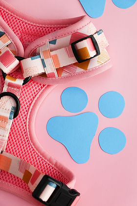 Harnais Réglable pour Chien Vik Fiesta | Lila Pawtique