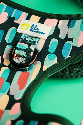 Harnais ajustable pour chien Amazônia Tribe | Lila Pawtique