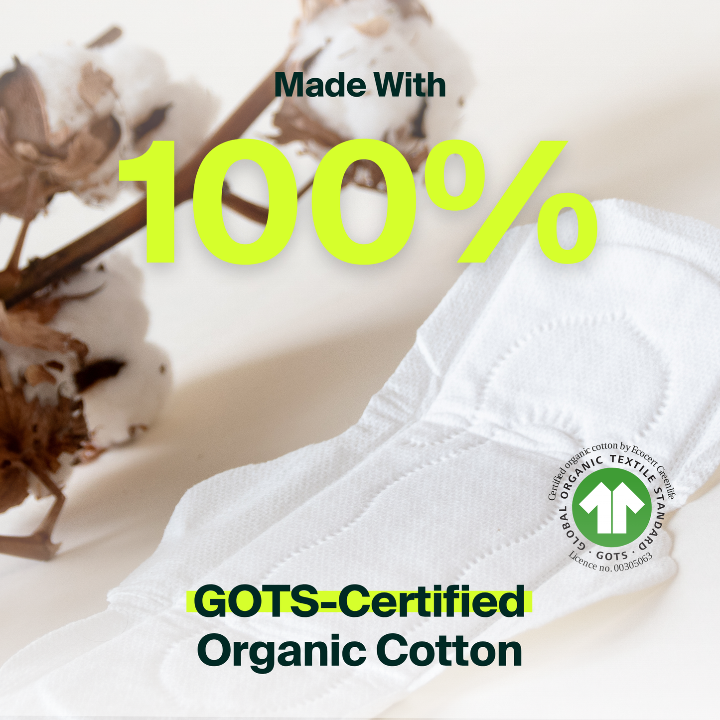 Serviettes hygiéniques régulières 100 % coton biologique - Lot (250)