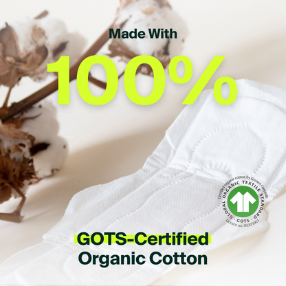 Protections hygiéniques régulières 100 % coton biologique - Lot (100)