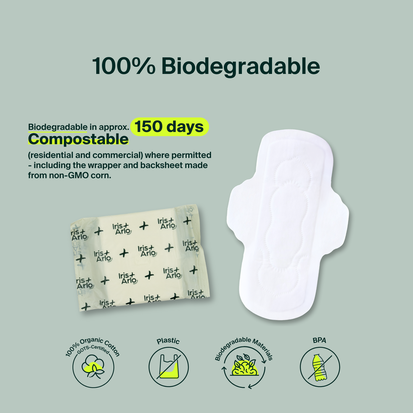 Protections hygiéniques régulières 100 % coton biologique - Lot (100)