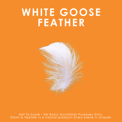 Couette en plumes d'oie blanches
