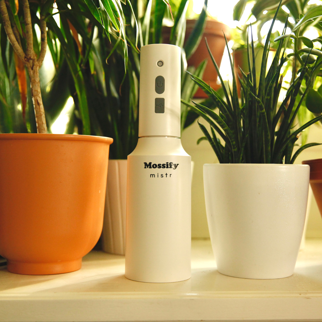 Le brumisateur Original Mossify™