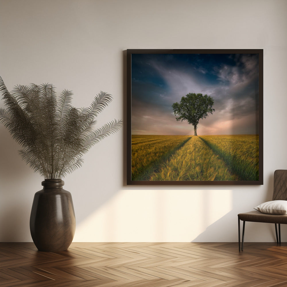 Décor mural Un