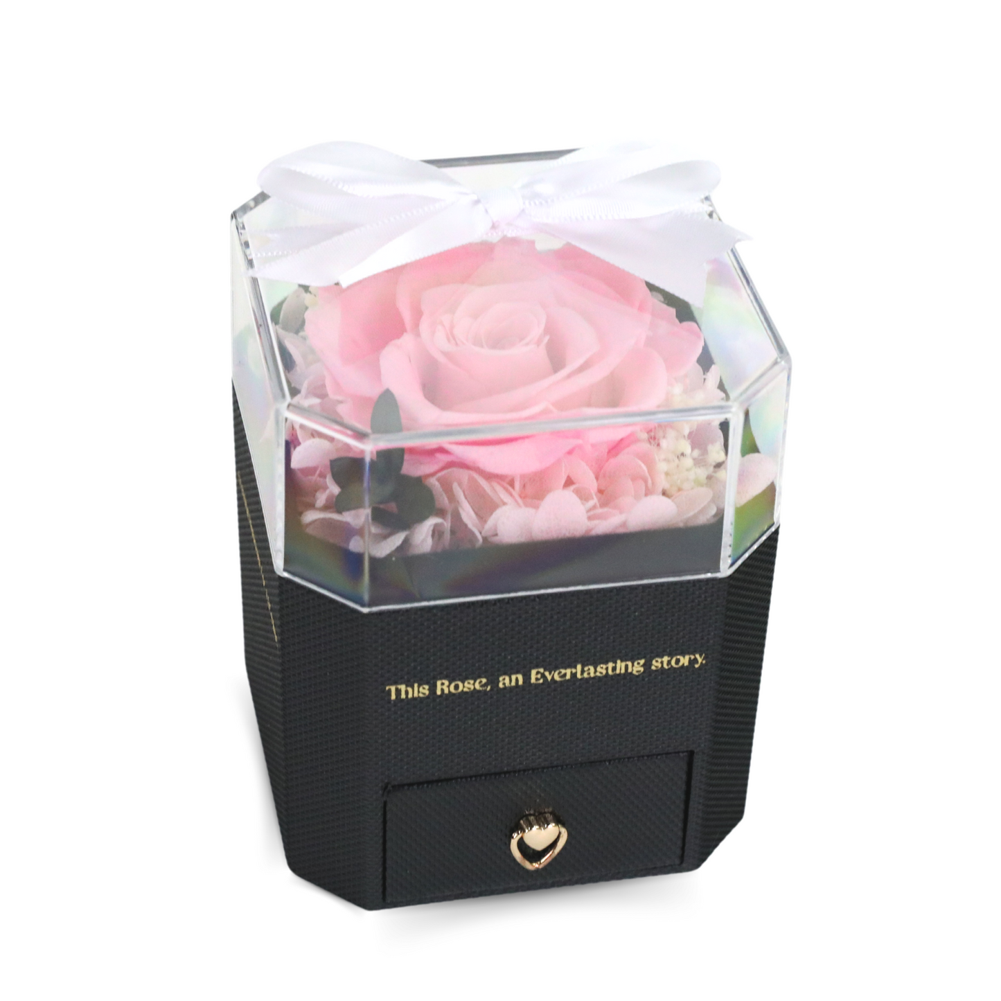 Rose Souvenirs Éternels