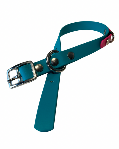 Biothane dog collar - Handmade in Quebec