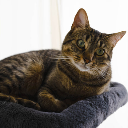 Niche Refuge - Arbre à chat de luxe à 3 niveaux