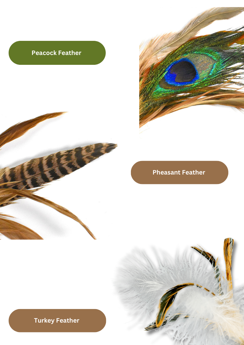 Oiseau de cataire / Silvervine