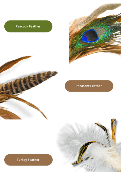 Oiseau de cataire / Silvervine
