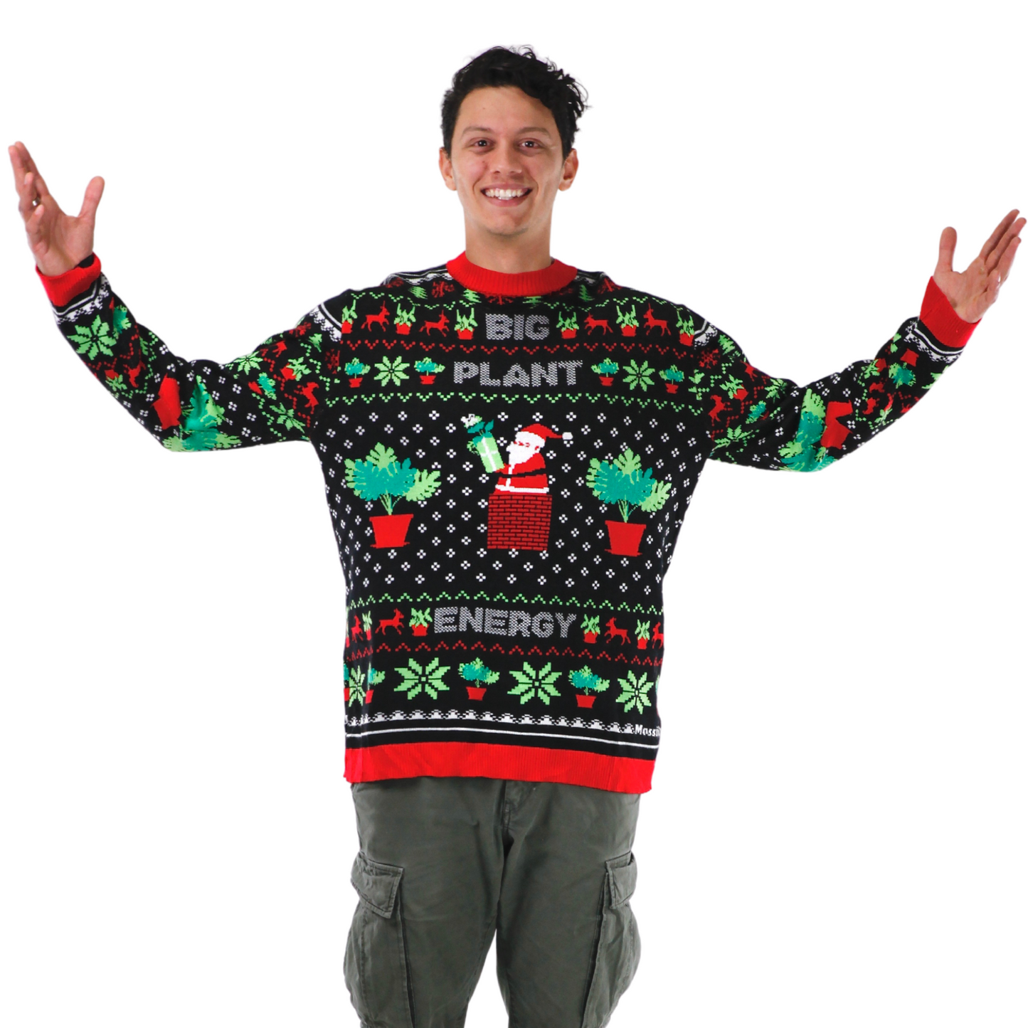 L'ÉNERGIE DES GRANDES PLANTES - Le pull de Noël moche