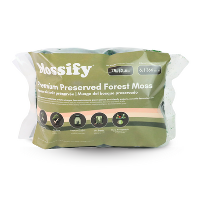 Mousse de forêt stabilisée de première qualité