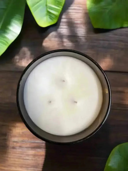 SANCTUM — EARTH ELEMENT | Grounding luxury coconut apricot wax candle