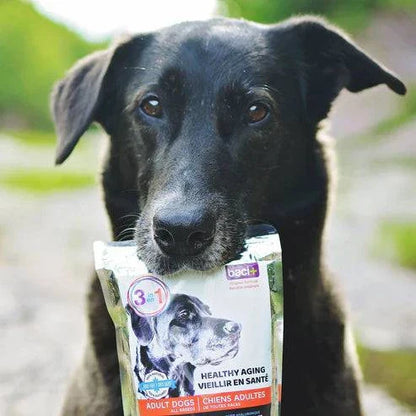 3en1 – Soutien articulaire, digestif et cardiaque pour chiens seniors