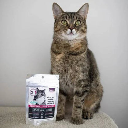 3-en-1 – Soutien Articulaire, Digestif & Cardiaque pour Chats Seniors