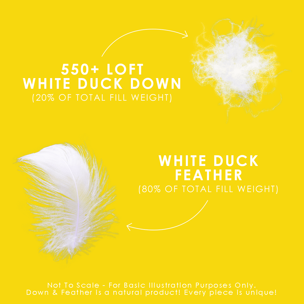 Couette en plumes et duvet blanches