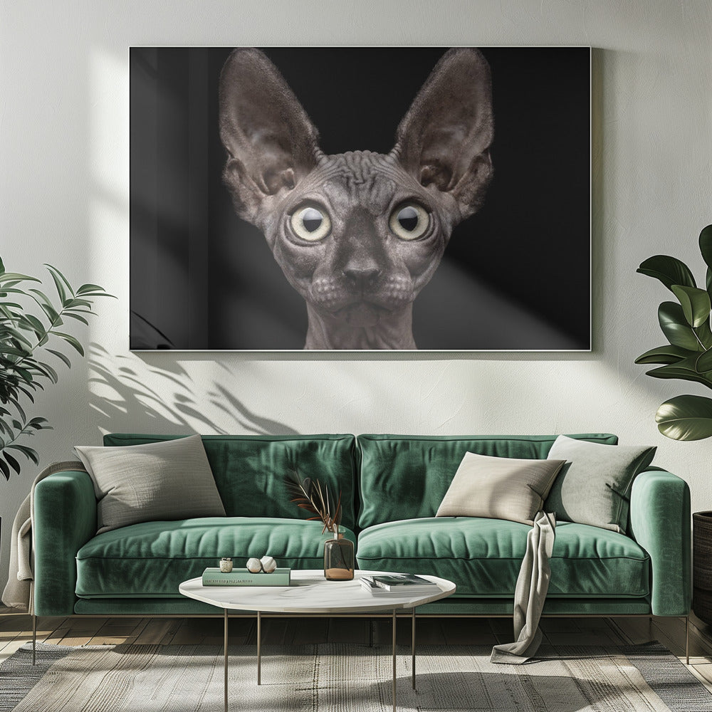 Art mural Chat Sphynx