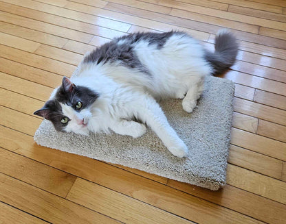 Model 13 - Kitty Cat Yoga Mat