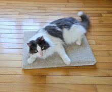 Modèle 13 - Tapis de yoga Kitty Cat