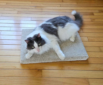 Model 13 - Kitty Cat Yoga Mat