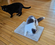 Modèle 13 - Tapis de yoga Kitty Cat