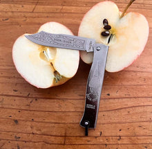Douk-Douk Utility Pocket Knife 160mm, Stainless Steel Blade, Chromed Handle