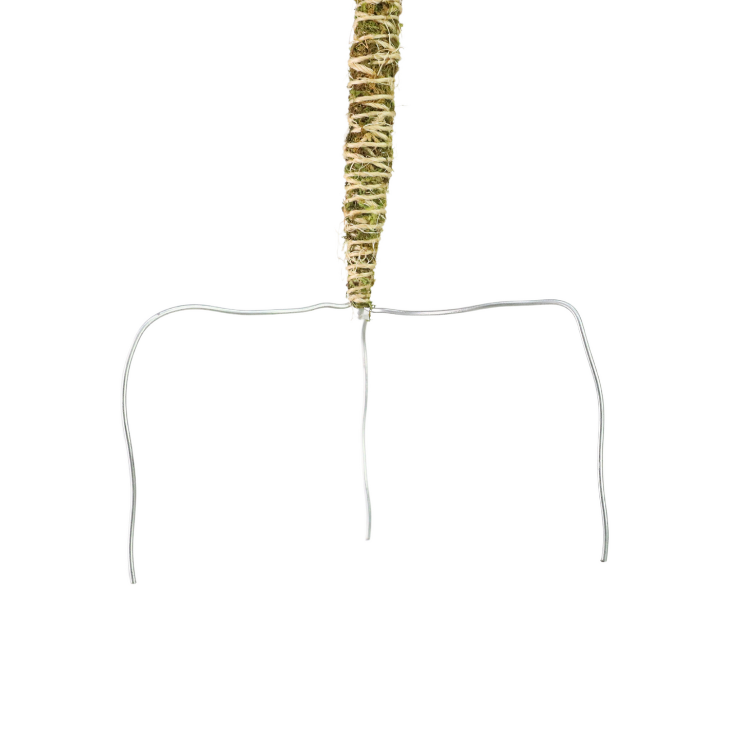 Le Tuteur Mousse Flexible™ 𝘍𝘐𝘕