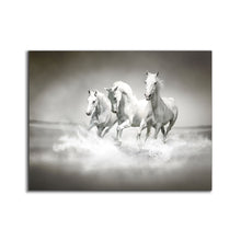 Art mural Étalons noirs et blancs - Toile imprimée animale