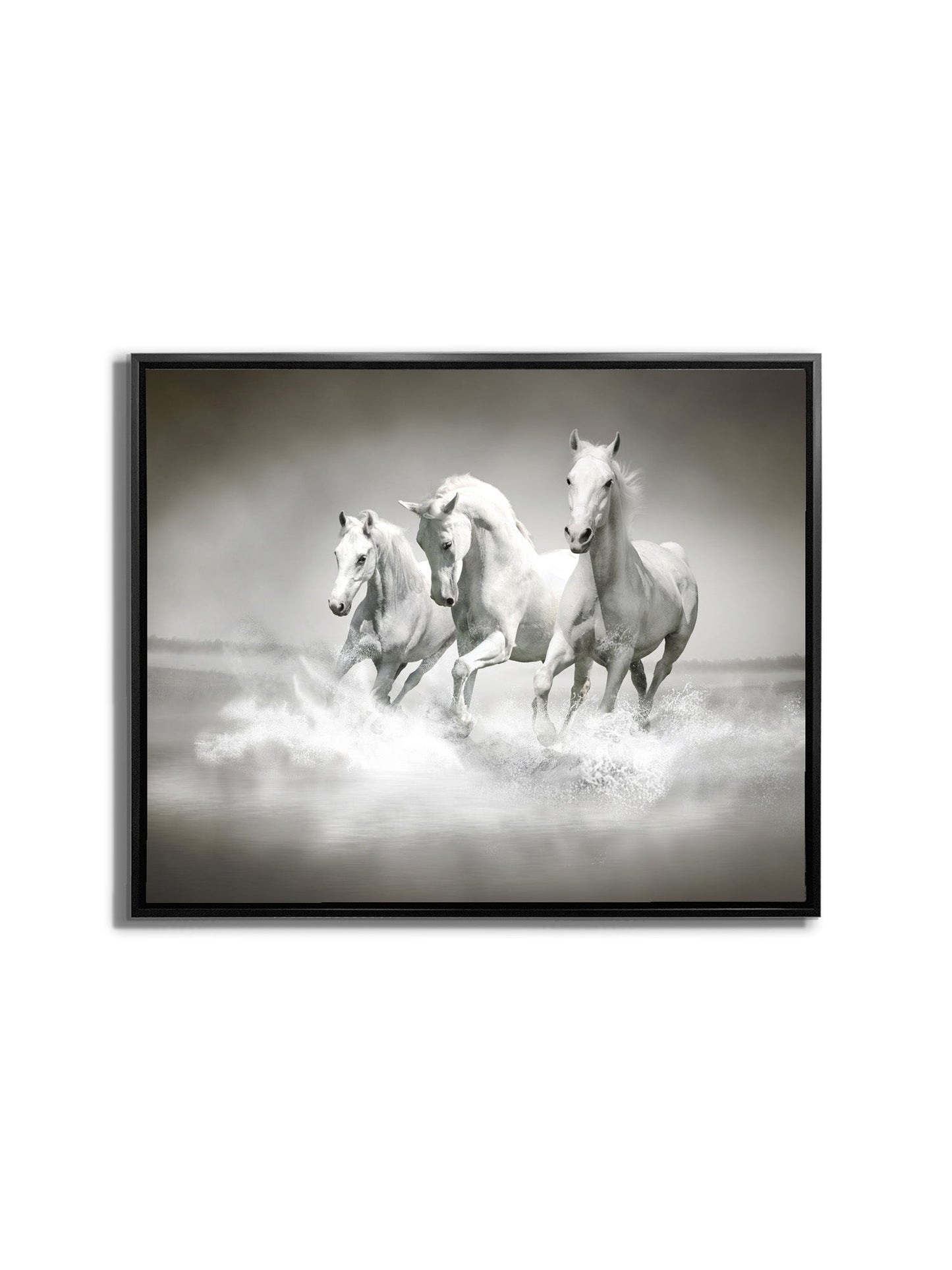 Art mural Étalons noirs et blancs - Toile imprimée animale