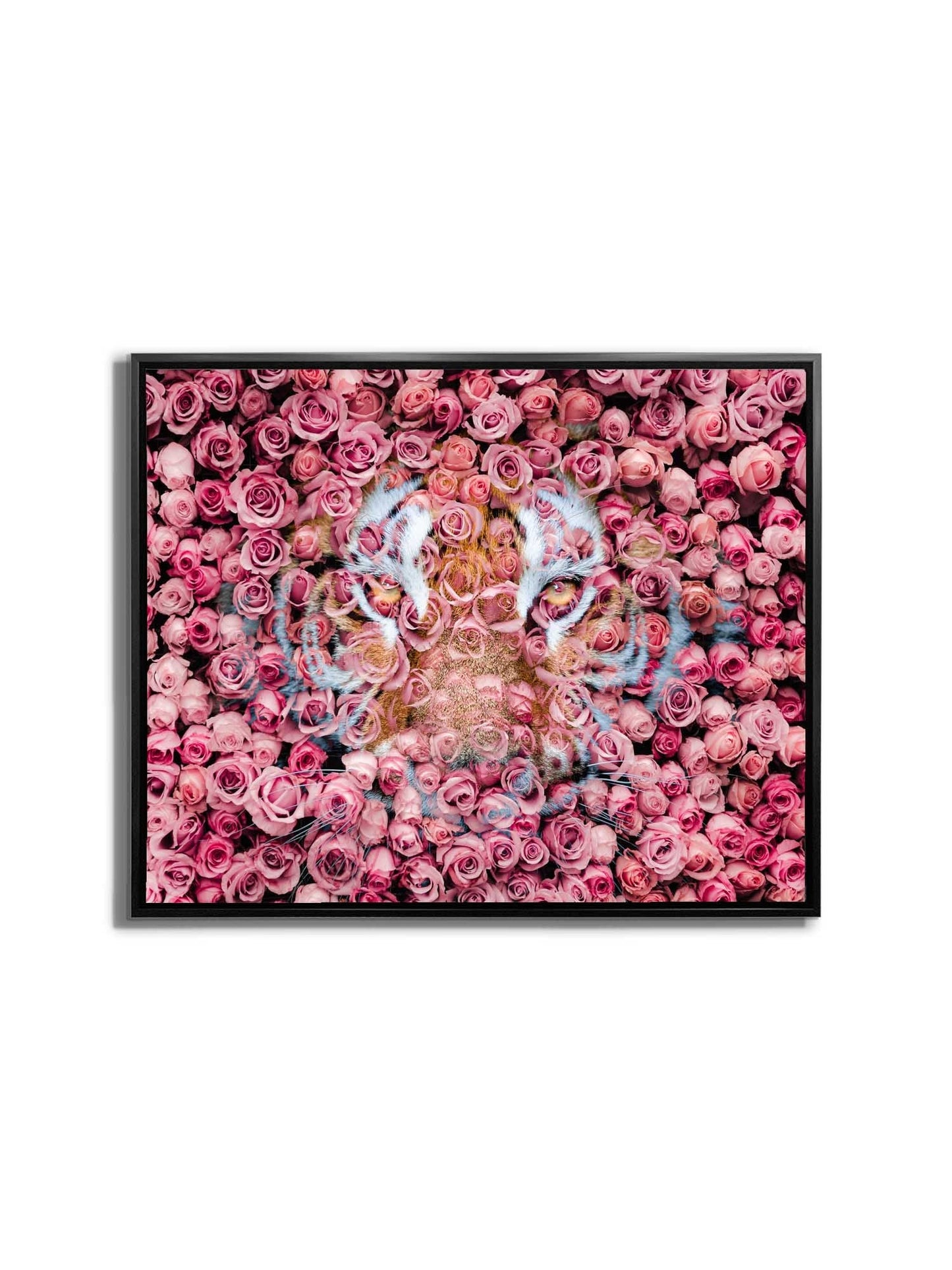 Tigre dans la rose - Impressions sur toile d'animaux sauvages - Art animalier - Vernis doré