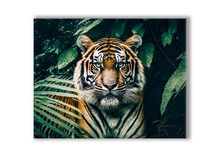 Impression sur toile-Le Tigre-Vernis or