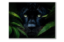 Jaguar noir rare - Décoration murale - Impression sur toile RGB Vanish