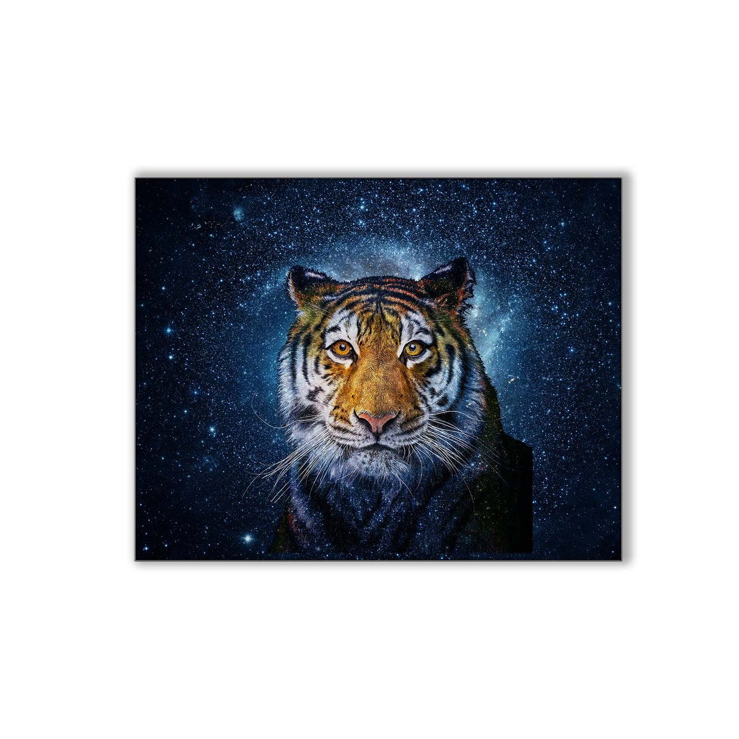 Décoration Murale Tête de Tigre avec Fond Céleste 48X36