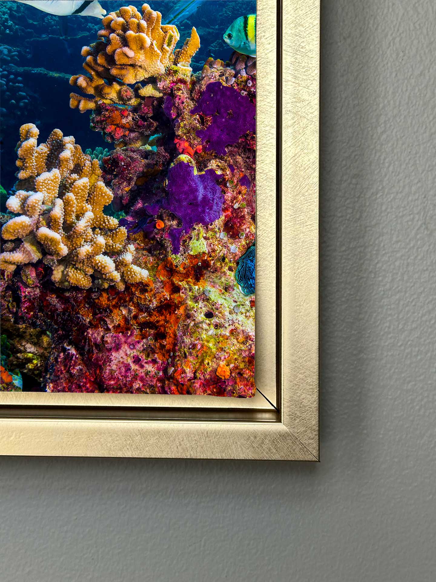 Toile imprimée-Sous la surface-Décoration murale
