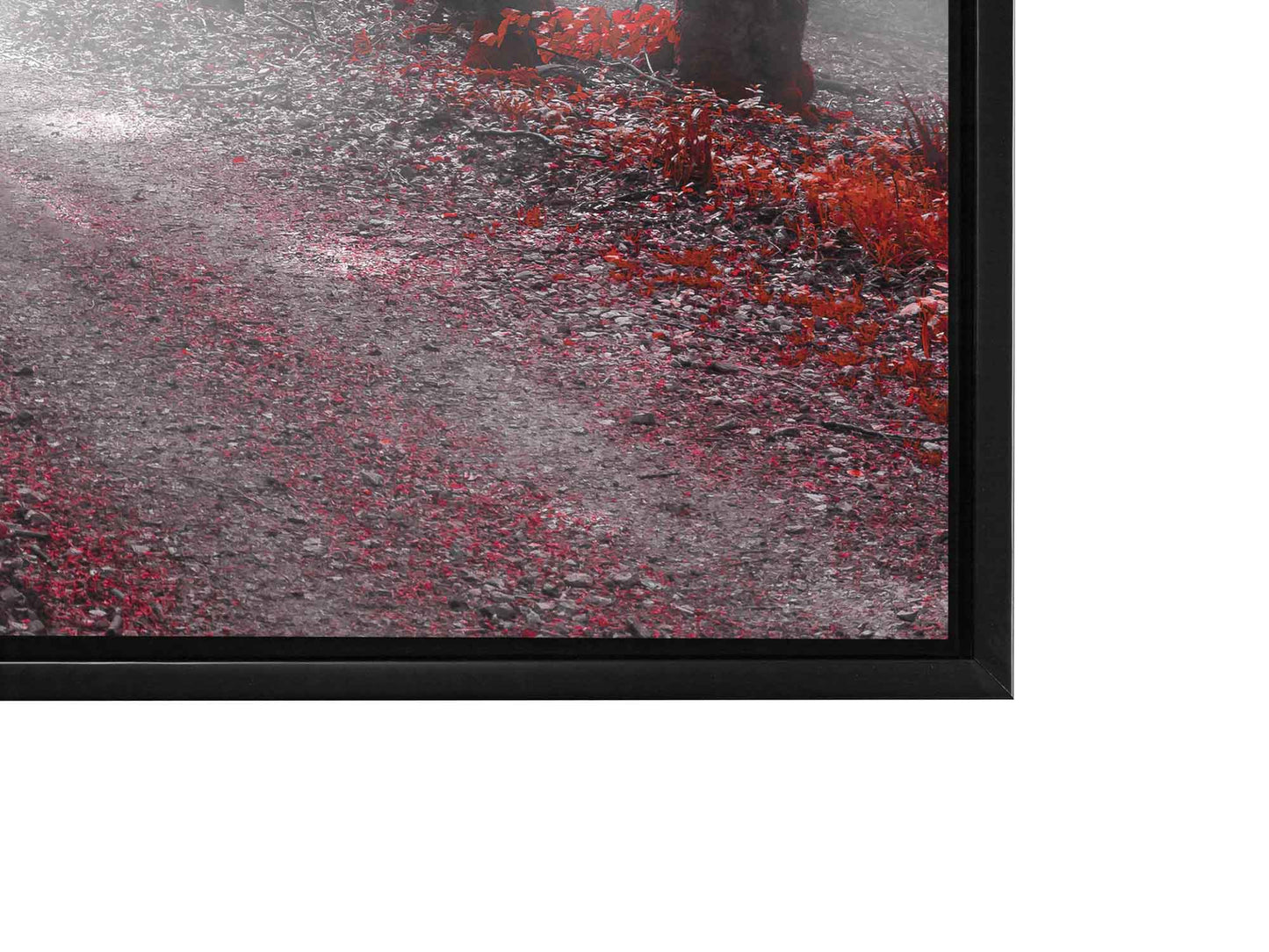 Œuvre d'art imprimée - Forêt rouge isolée - Décoration murale