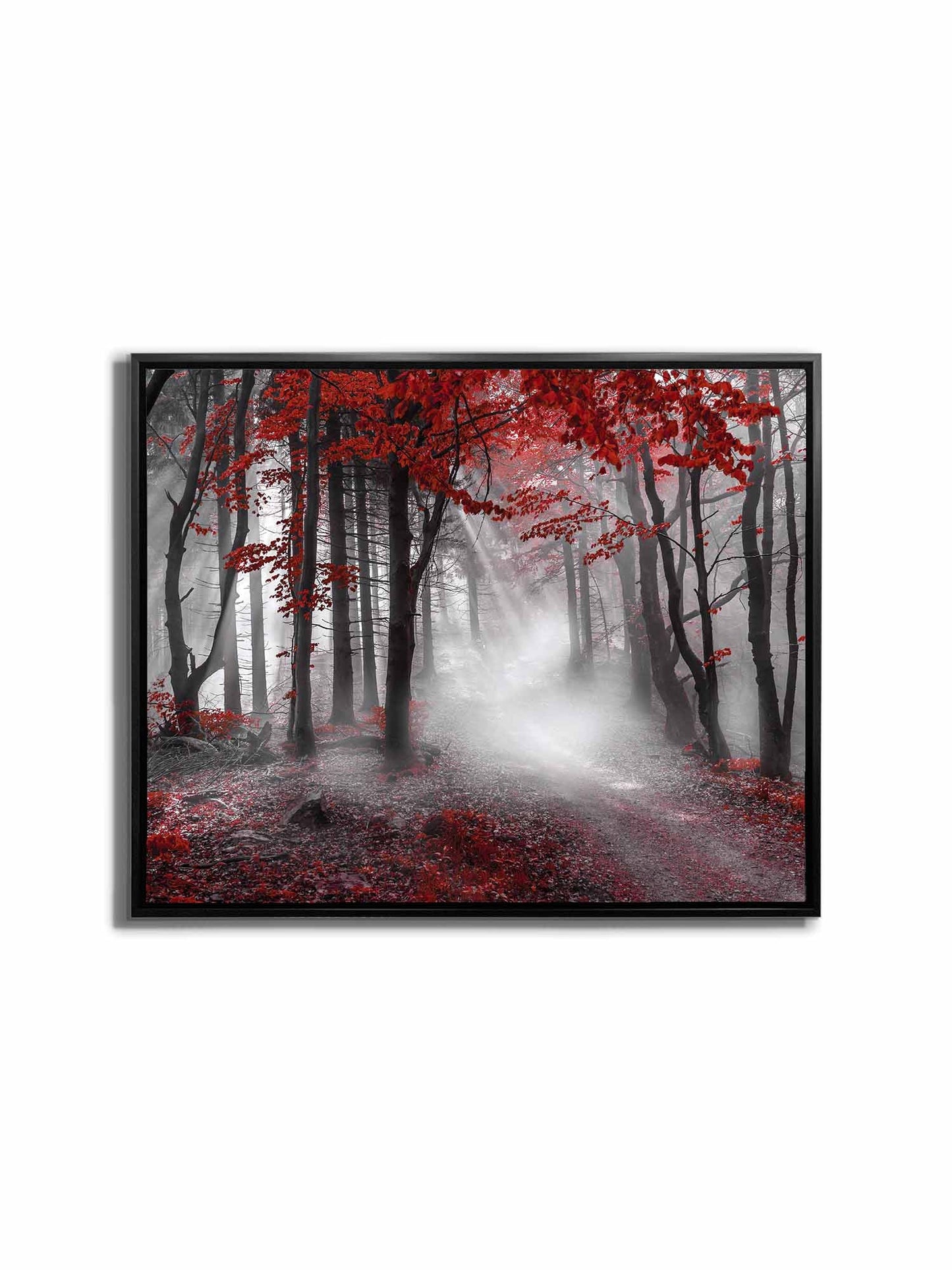Œuvre d'art imprimée - Forêt rouge isolée - Décoration murale