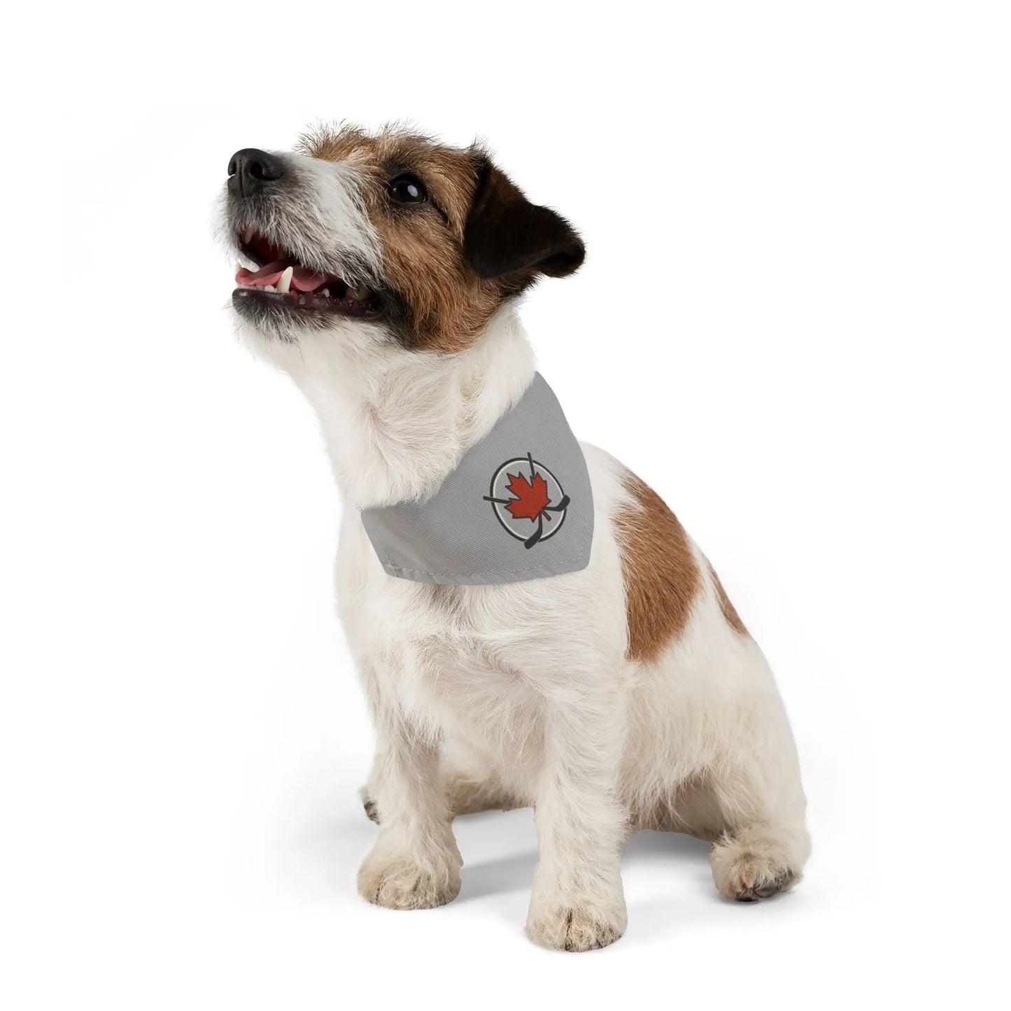 Collier bandana élégant pour animaux, parfait pour les animaux de compagnie, mode canine, Fête du Canada, accessoires pour animaux, cadeau de vacances, équipement mignon pour chien