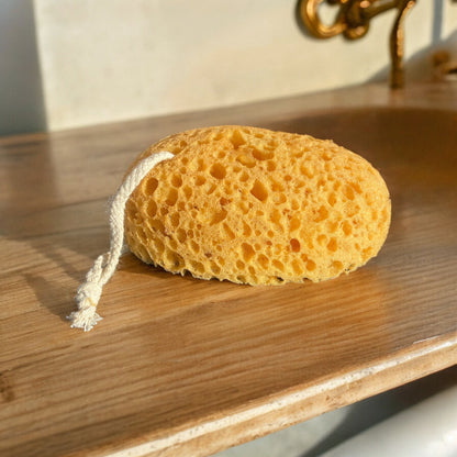 Hanging Sponge