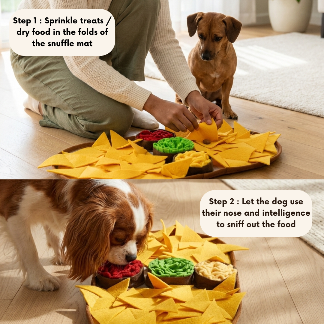 Cheesy Nachos™ by LuvMyFido