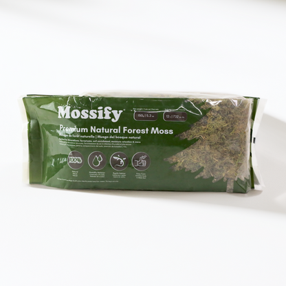 Mousse naturelle de forêt de première qualité
